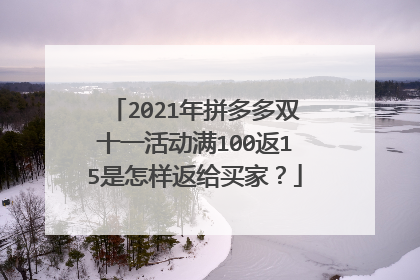 2021年拼多多双十一活动满100返15是怎样返给买家?