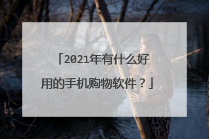 2021年有什么好用的手机购物软件?