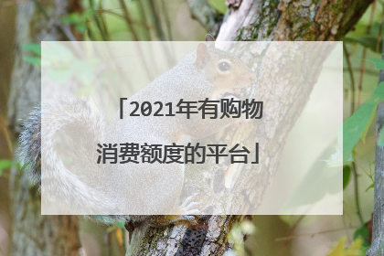 2021年有购物消费额度的平台