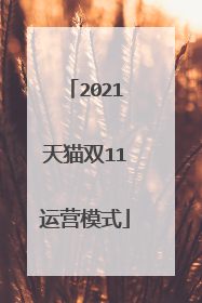 2021天猫双11运营模式