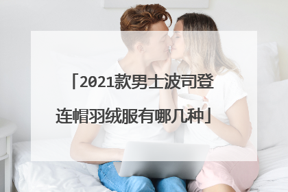 2021款男士波司登连帽羽绒服有哪几种