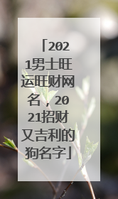 2021男士旺运旺财网名,2021招财又吉利的狗名字