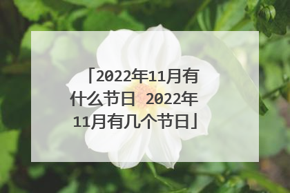 2022年11月有什么节日 2022年11月有几个节日