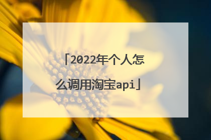 2022年个人怎么调用淘宝api