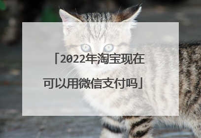 2022年淘宝现在可以用微信支付吗