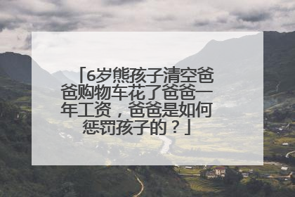 6岁熊孩子清空爸爸购物车花了爸爸一年工资,爸爸是如何惩罚孩子的?
