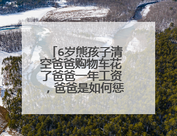 6岁熊孩子清空爸爸购物车花了爸爸一年工资,爸爸是如何惩罚孩子的?