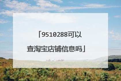 9510288可以查淘宝店铺信息吗