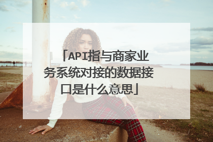 API指与商家业务系统对接的数据接口是什么意思
