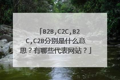 B2B,C2C,B2C,C2B分别是什么意思?有哪些代表网站?