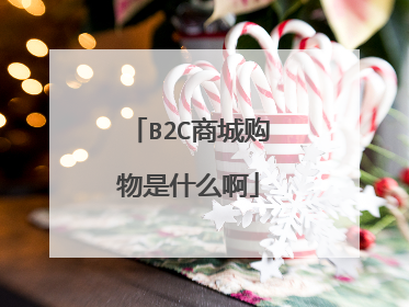 B2C商城购物是什么啊