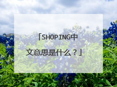 SHOPING中文意思是什么?
