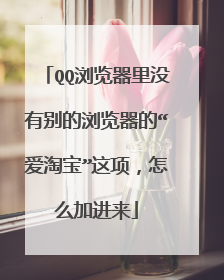 QQ浏览器里没有别的浏览器的“爱淘宝”这项，怎么加进来