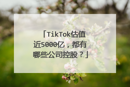 TikTok估值近5000亿,都有哪些公司控股?