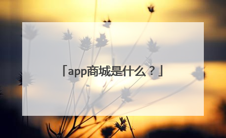 app商城是什么?