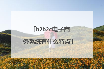 b2b2c电子商务系统有什么特点