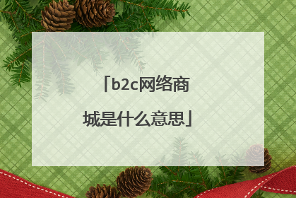 b2c网络商城是什么意思