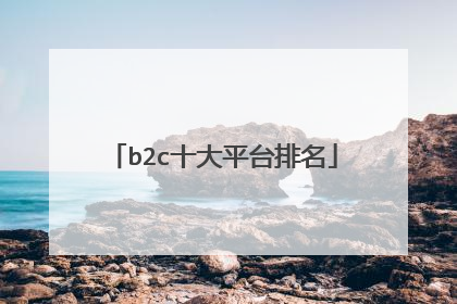 b2c十大平台排名