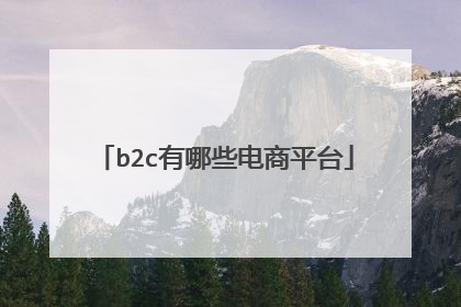 b2c有哪些电商平台