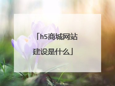h5商城网站建设是什么