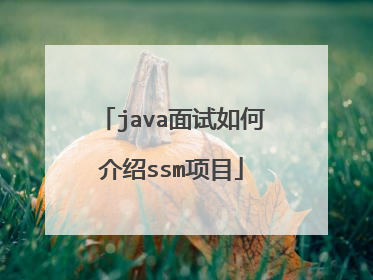 java面试如何介绍ssm项目