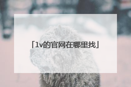 lv的官网在哪里找