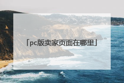 pc版卖家页面在哪里