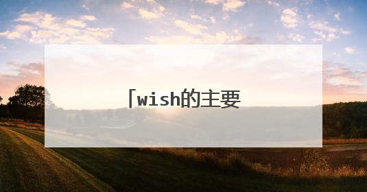 wish的主要客户是哪些国家