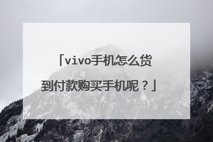 vivo手机怎么货到付款购买手机呢?