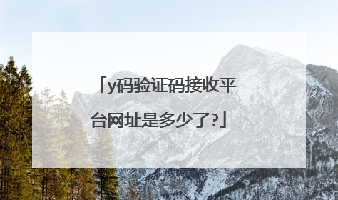 y码验证码接收平台网址是多少了?