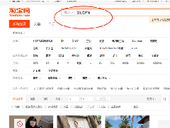 霸道选款 让你的淘宝营业额快速破万