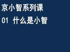 京东仓配客售京小智系列课 01 什么是小智