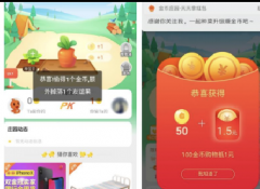 电商运营案例拆解——淘宝-金币庄园