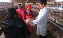 在农村创业怎么找小项目投资（5个最有市场前景的小本项目）