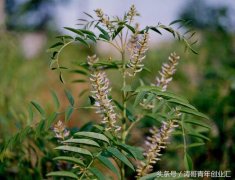 投资赚钱的小项目有哪些（5个万元投资好项目推荐）