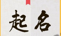 淘宝店铺名怎么取（独一无二的淘宝店铺名字大全）