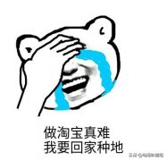 开淘宝店要钱吗（2002年淘宝开店流程及费用）