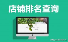 淘宝店铺查询权重工具（淘宝店铺排名如何查询）