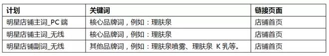 年销售1亿的天猫旗舰店如何做付费推广？