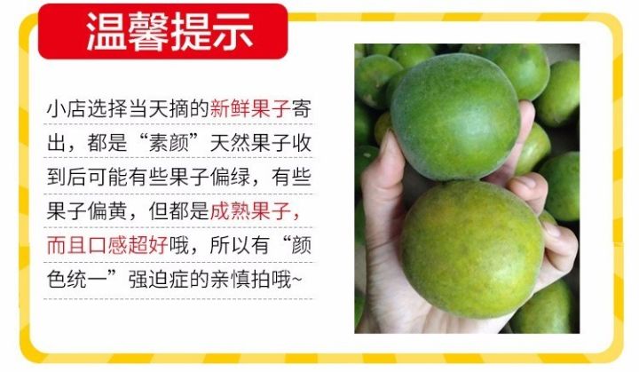 【提升转化】免费的高转化率模版，马上学起来