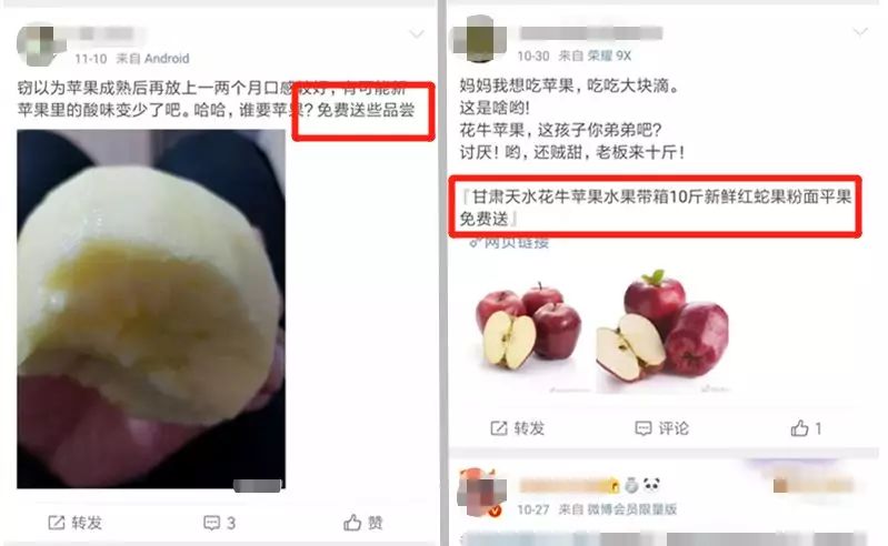 土特产赚钱秘诀，半天卖出500斤