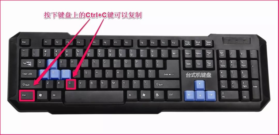 一个人可以做跨境电商吗？