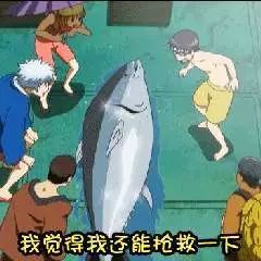 东南亚跨境电商平台哪家强？