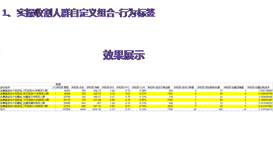 达摩盘2.0DMP五部曲之人群收割