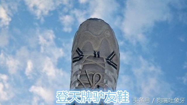 看看你中了几条？做电商不成功的十大原因