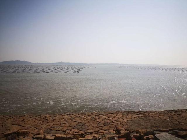 企业店13天起量3万单，23岁经历了地狱与天堂