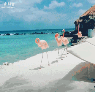 记住这7个要素，抖音视频还愁不能上热门？
