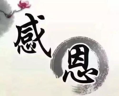 深度解析社交电商之淘小铺是什么
