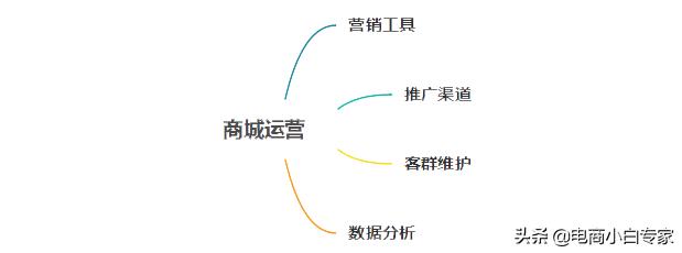 有赞、微盟、点点客，微商城运营推广功能对比