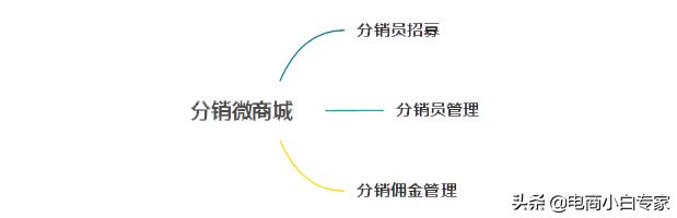 有赞、微盟、点点客微商城分销功能对比